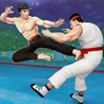 功夫大师无限内购破解版