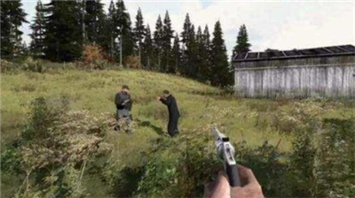 dayz图2