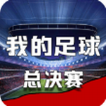 我的足球总决赛破解版