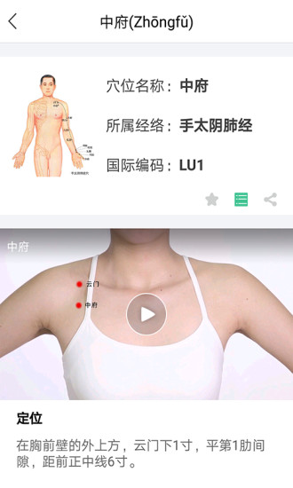 灸大夫经络穴位图解软件图1