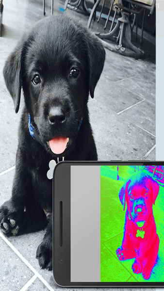 手机热成像仪最新版(thermal camera)图2