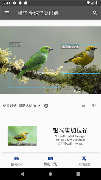 懂鸟全球鸟类识别图1