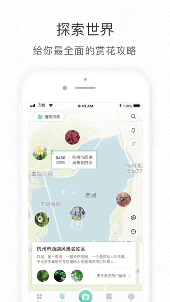 形色拍照识别花和植物图1