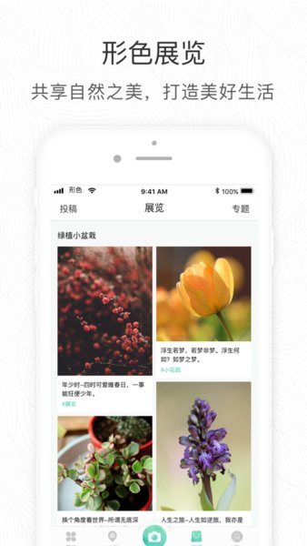 形色拍照识别花和植物图3