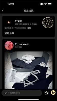 鉴定师图2