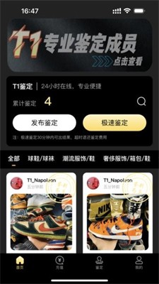 鉴定师图3