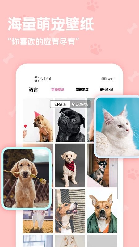 动物语言翻译器软件图1