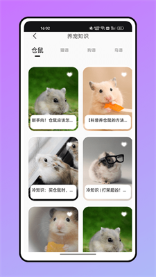 仓鼠翻译器图1