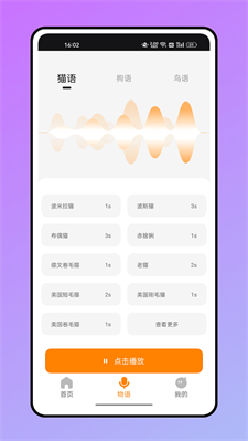 仓鼠翻译器图2