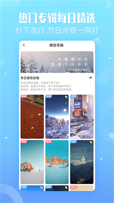 小鸟壁纸图3
