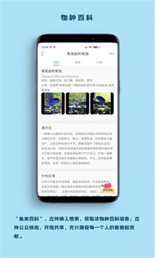 看鱼图1