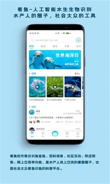 看鱼图2