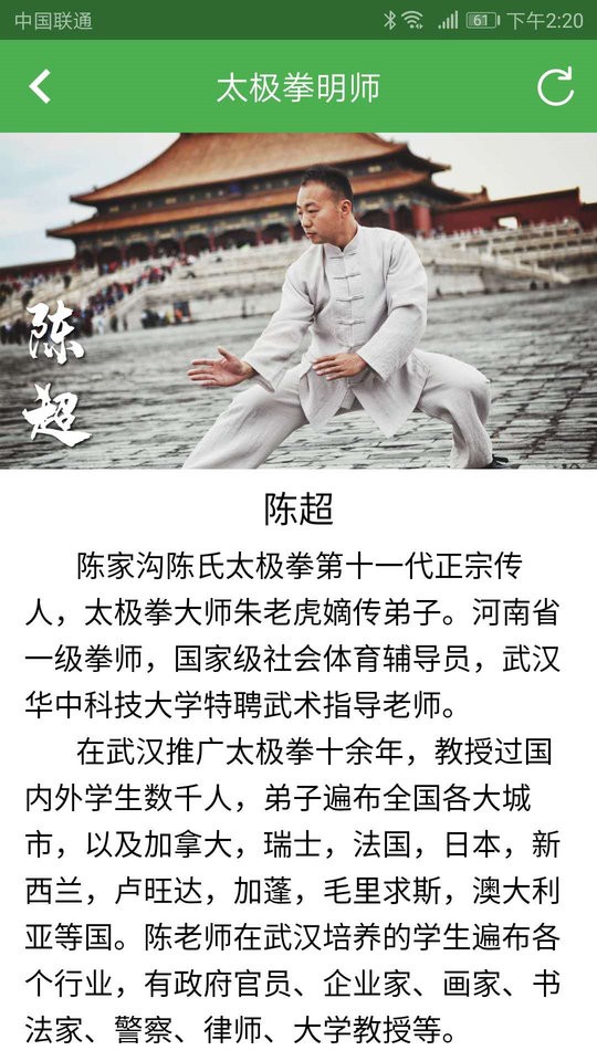 陈氏太极拳教学大全图2