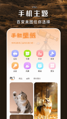 主题盒图2