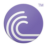 BitComet中文手机版(比特彗星)