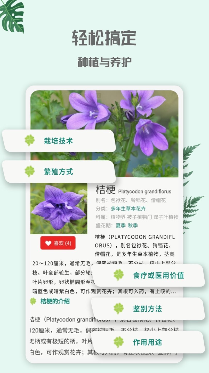 花园管家免费版图2