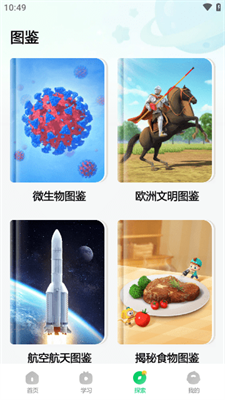 斑马百科图3