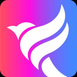 白鸽任务最新版