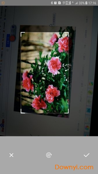 万物拍照识别软件图4