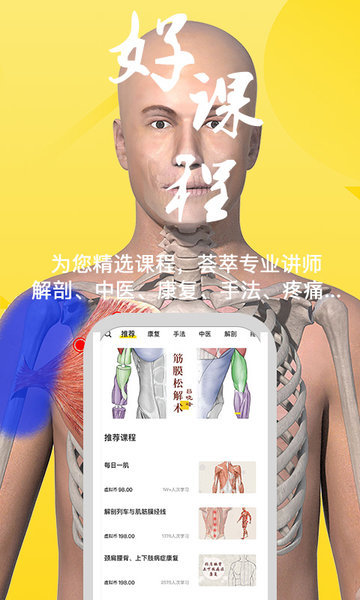 3Dbody解剖学专业修改版图1