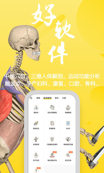 3Dbody解剖学专业修改版图2