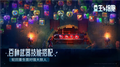 重生细胞破解版图5