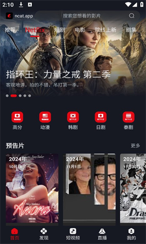 网飞猫图1