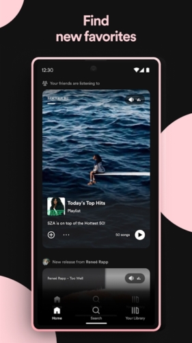 spotify图3