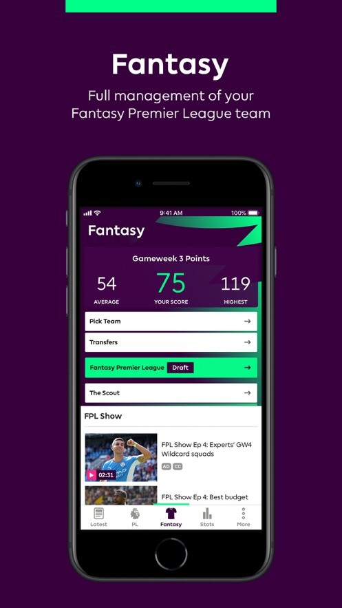 English Premier League图3