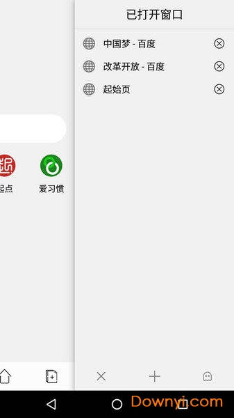 石榴浏览器手机版(flash browser)图1
