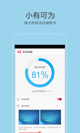 opera mobile手机版图3