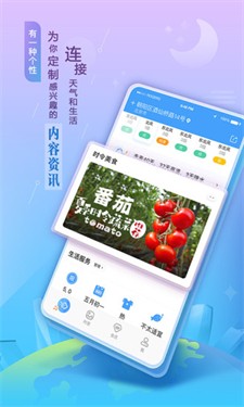 老友天气图2
