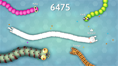 Snakeio破解版图5
