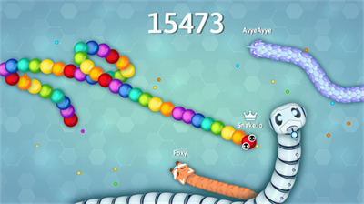 Snakeio破解版图3
