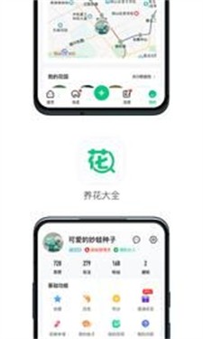 养花大全图2