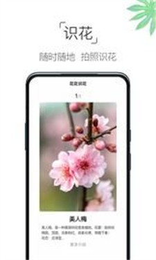 养花大全图3