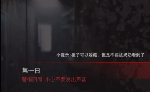 恐怖奶奶迷雾破解版图1