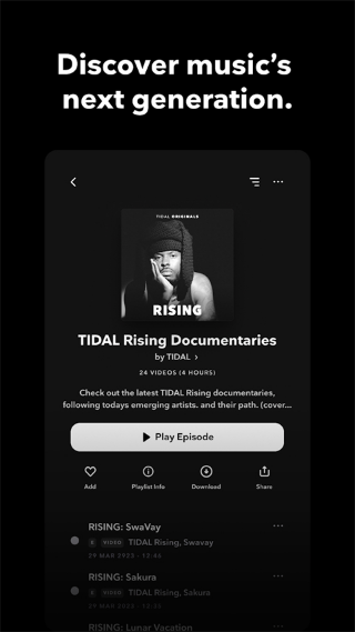 tidal图1