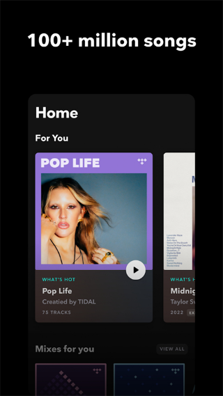 tidal图2