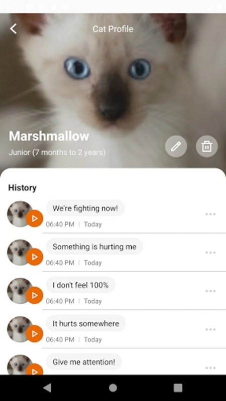 meowtalk官方版(喵说)图3