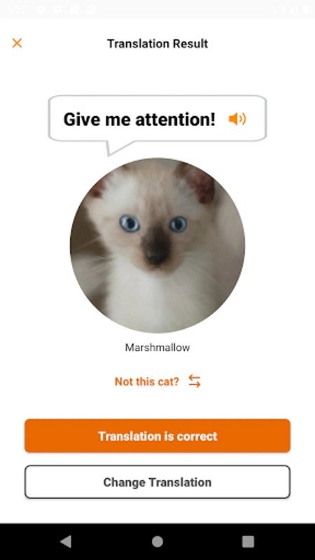 meowtalk官方版(喵说)图2
