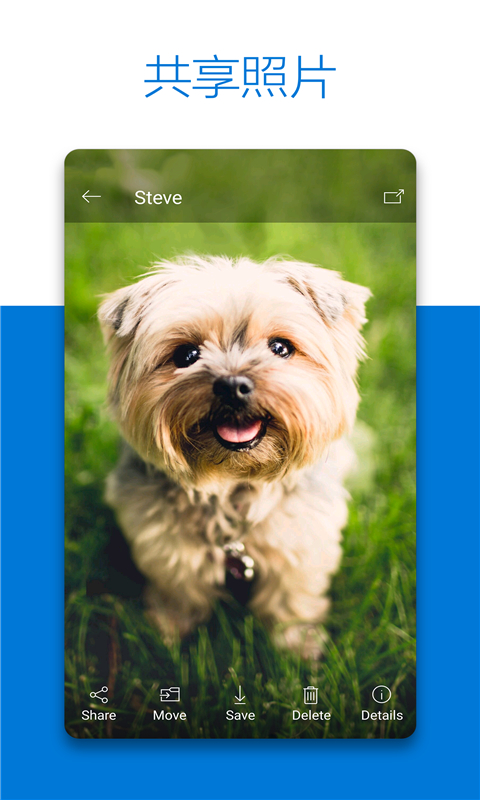 onedrive网盘图2