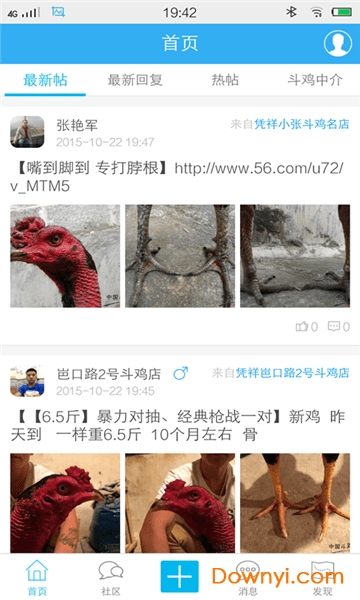 中国斗鸡论坛app图2