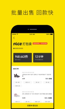 nice最新版图1