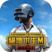 pubgmobile2024版