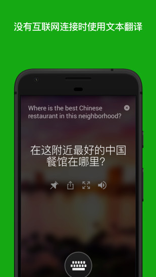 翻译通手机版(iTranslate)图3
