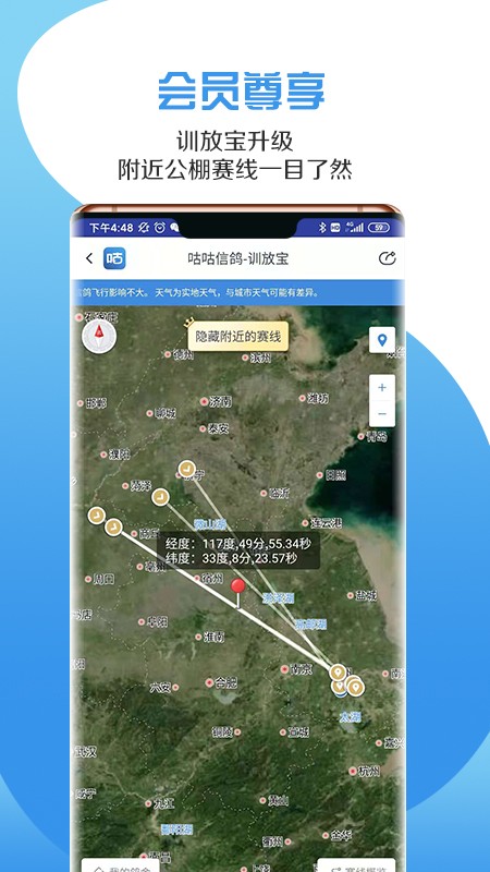 咕咕信鸽图1