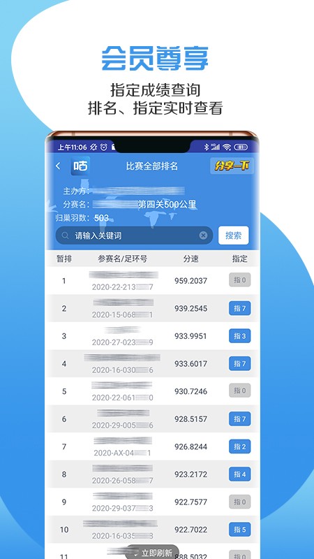 咕咕信鸽图3