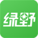 绿野