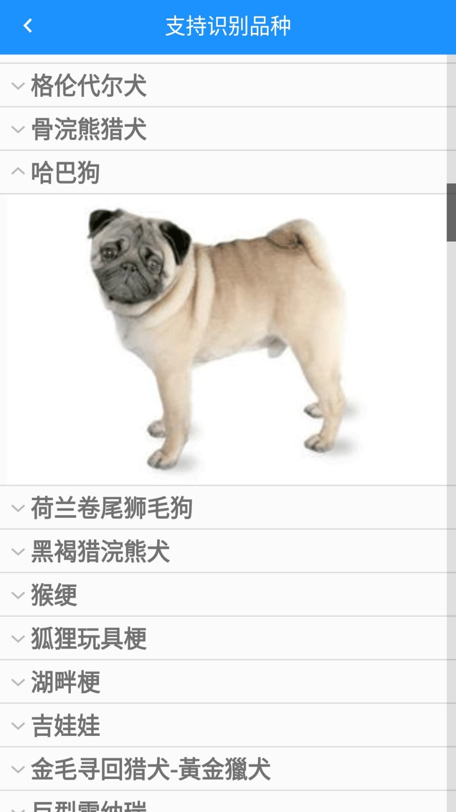 哈狗官方版图2